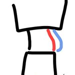 [댓글부탁해] <b>뱃살</b>만 많은 사람 있음?
