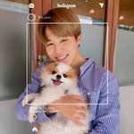 [방탄소년단] <b>지미</b>니는 왜 <b>지미</b>니일까ㅠ