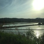 발표과제 너무 싫다