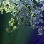 [프듀2] 이의웅이 누군지 알아??