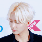 [세븐틴] 캐럿덜 이거 가입해줘!