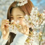 [드루와] 부모님이 둘 중 하나만 허락해 주신다면?