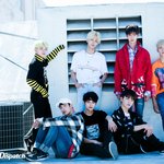 [세븐틴] 세븐틴 강아지상 고양이상