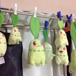 [댓글부탁해] 에버랜드 영상<b>편집</b>중인데 배경음악추천좀