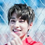 [세븐틴] ㅡㅜㅠㅠㅠ어떡해
