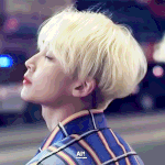 [세븐틴] 애들아 글찾는거좀 도와줘ㅜㅜ