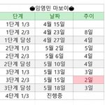 [프로듀스] 임영민 <b>마보이</b> 달성 추이 쩜 ㅋㅋㅋㅋ