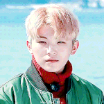 [세븐틴] ㅅㄷ <b>캐럿</b>덜!