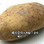 [댓글부탁해] 학교<b>안</b><b>간</b>사람있니