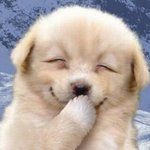 얘들아 나 <b>전교</b> 1등인데