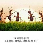 [소원임] 아 <b>이대로</b>만 살았으면 좋겠다