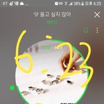 [세븐틴] 우리 <b>진입</b> 3위 어렵겠다