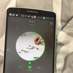 [세븐틴] 표절표절거려 짜증나게