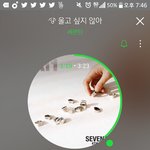 [세븐틴] 쇼케 스텐딩 백팩 <b>민폐</b>야..?