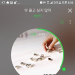 [세븐틴] 캐럿떨 제발 <b>열스</b>밍하자...