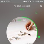 [세븐틴] 얘들아 제발 원음구입하고나서 <b>삭제</b>하라는거있잖아
