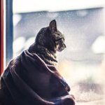 [드루와] 너희 눈 가로길이