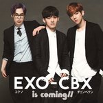 [EXO] 개존잘