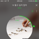 [세븐틴] 얘들아 우리 잘하고있어 <b>유지</b>라도 하자