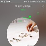 [세븐틴] 캐럿들 우리 절대 떨어지지말자