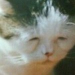 김정은 <b>뽀샵</b>해봄