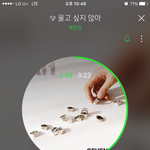 [세븐틴] 내일 쇼케 스탠딩으로 가는 학생캐로<b>시들</b> 질문이썽...