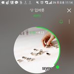 [세븐틴] 쇼케 처음이라 넘 떨리는데