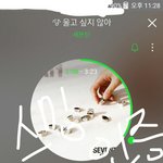 [세븐틴] check in이랑 <b>who</b>