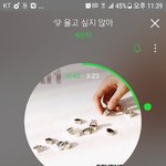 [세븐틴] 응원법을 내놓아라 플<b>디야</b>.