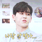 [인피니트] ㅅㄷ역시 우리나란