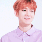 [백현] <b>연보라</b> 백현 A