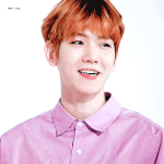 [백현] <b>연보라</b> 백현 B