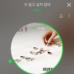 [세븐틴] 저기 플디 스탶분들