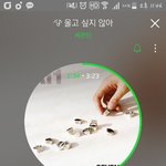 [세븐틴] ㅅㄷ 낼 <b>조퇴</b>어떡하지ㅠㅠ