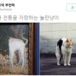[콜로라도] <b>유구</b>한 역사와 전통을 자랑하는 놀란냥이.jpg