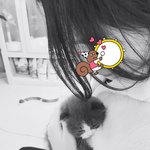 [고양이] 고양이 <b>확대</b>마 (2개월->4개월)