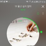 [세븐틴] 이젠 박자감각도 가르치는 <b>셉</b>은<b>틴</b>..