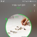 [세븐틴] ㅅㄷ 음원<b>순위</b> 궁금해서 잠을 못잨ㅋㅋㄹ
