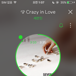 [세븐틴] 플디 일한다 짜란다잘한다