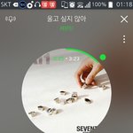 [세븐틴] ㅅㄷ 집계 안될것 같아 제발 도와줘ㅠㅠ