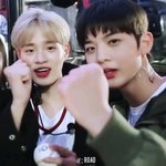 [프로듀스] 배진영 프듀에서 유니크한거