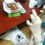 [조언부탁해] 친구 관계 문제야 제발 도와줘ㅠㅠㅠ