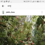 [세븐틴] 스밍 첨 하면서느낀건데