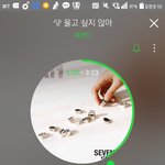 [세븐틴] 지금 출근시간이라서 <b>상위</b>권에 있으면