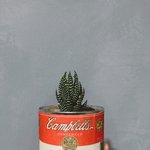 삶이너무퍽퍽해서 식물을 키워봤어 <b>with</b> 선인장 (자취7년차의힐링기)...