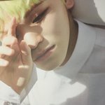[세븐틴] ㅅㄷ) 포스터 한장 더 왔당