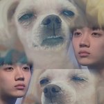 [프로듀스] 이번 병크 임영민이 잘못한거랑 아닌거