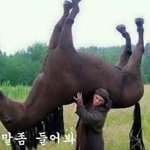 [이삐] 이삐덜ㅠㅜㅜ제발 <b>옷</b> 추천좀ㅠㅠㅜ