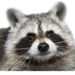 [댓글부탁해] 너네 <b>특이</b>한데 좋아하는 냄새있어??