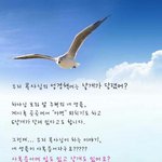 재밌는 성경이야기, 날개 달린 성경책 보셨나요?